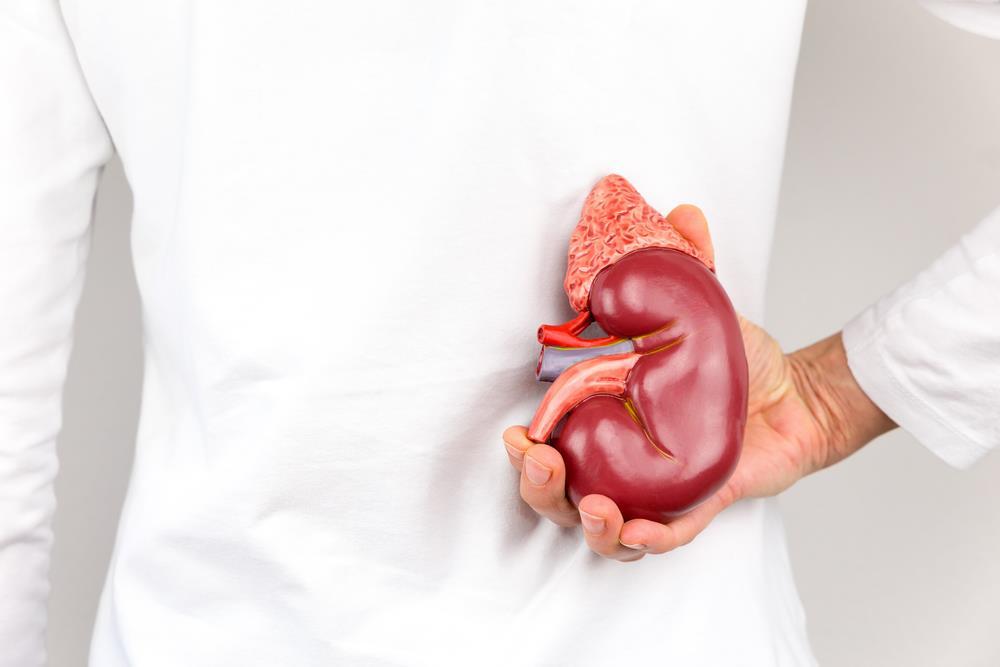 Medicina din piatra de rinichi fara interventie chirurgicala