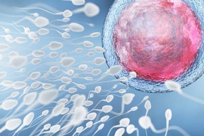 Analiza spermei este un test de fertilitate masculină