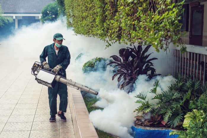 ceata gaze in tantari dengue