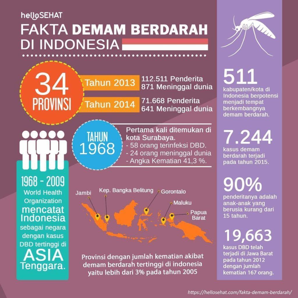 febra de febra hellosehat în Indonezia