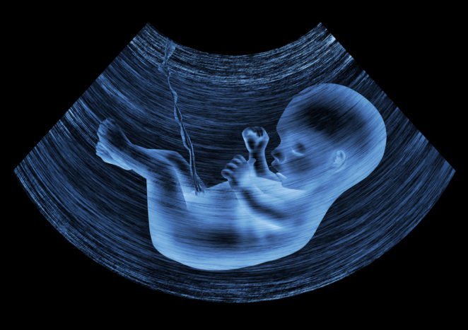 dezvoltarea fetală în uter